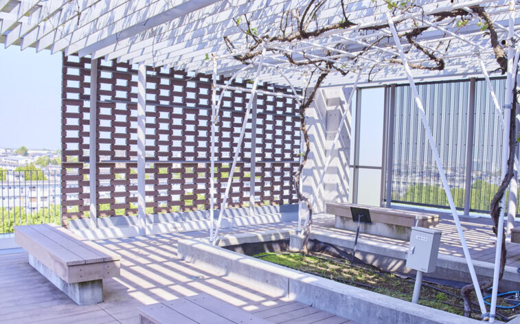 5Fウッドテラス